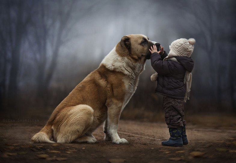 th_animal-children-photography-elena-shumilova-1