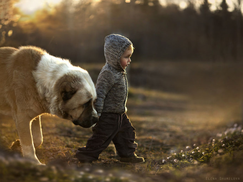 th_animal-children-photography-elena-shumilova-18