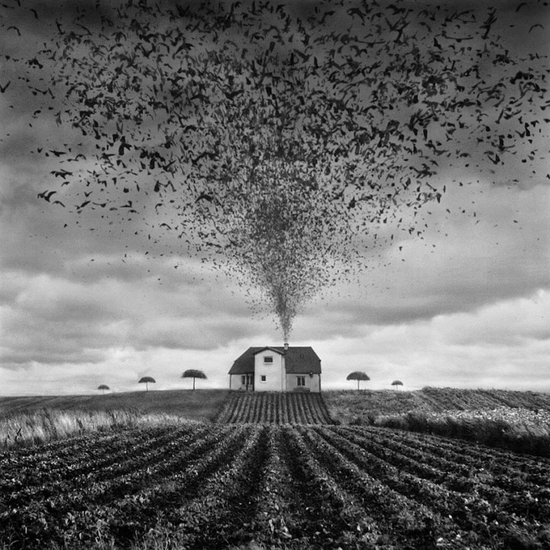 surreal-photo-manipulation-dariusz-klimczak-1