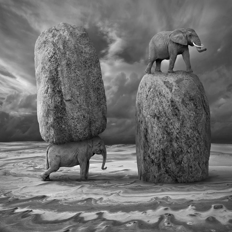 surreal-photo-manipulation-dariusz-klimczak-12