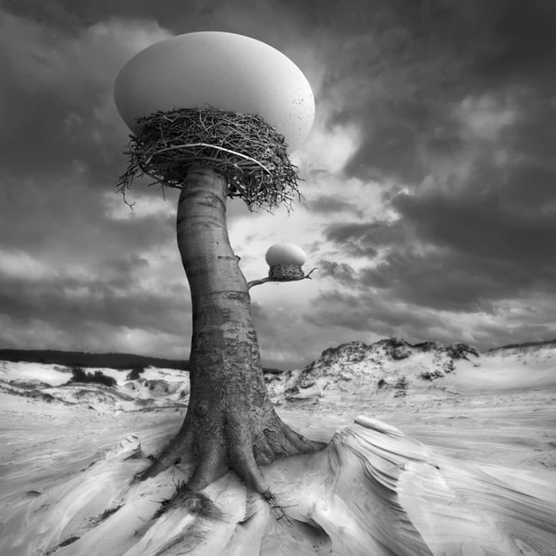 surreal-photo-manipulation-dariusz-klimczak-9