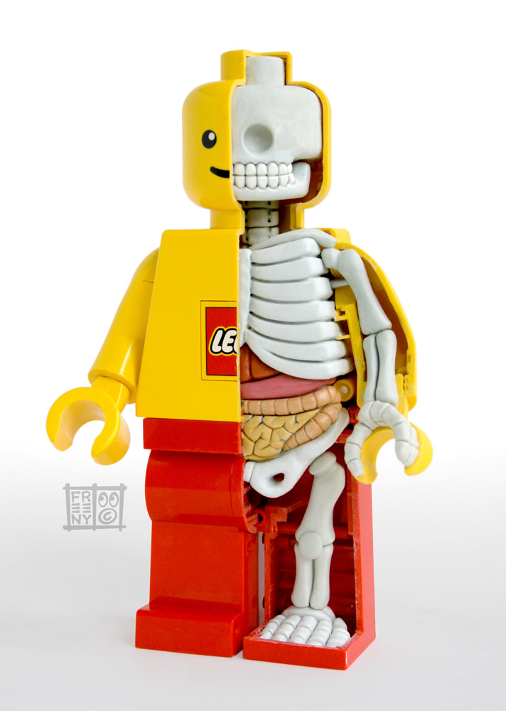th_lego_mini_figure_anatomy_sculpt_by_freeny-d4gd9w4