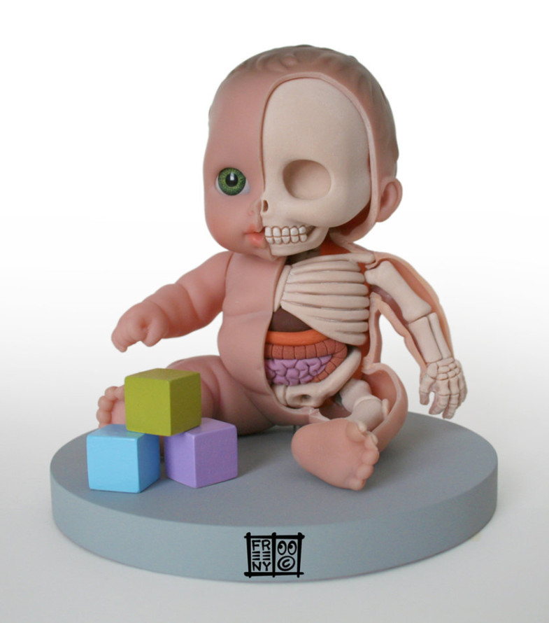 th_lil___custie_anatomical_model_by_freeny-d49l1pj