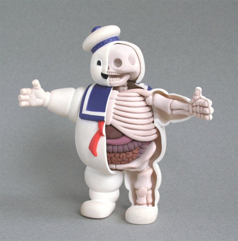 th_stay_puft_anatomy_sculpt_by_freeny-d2zue66